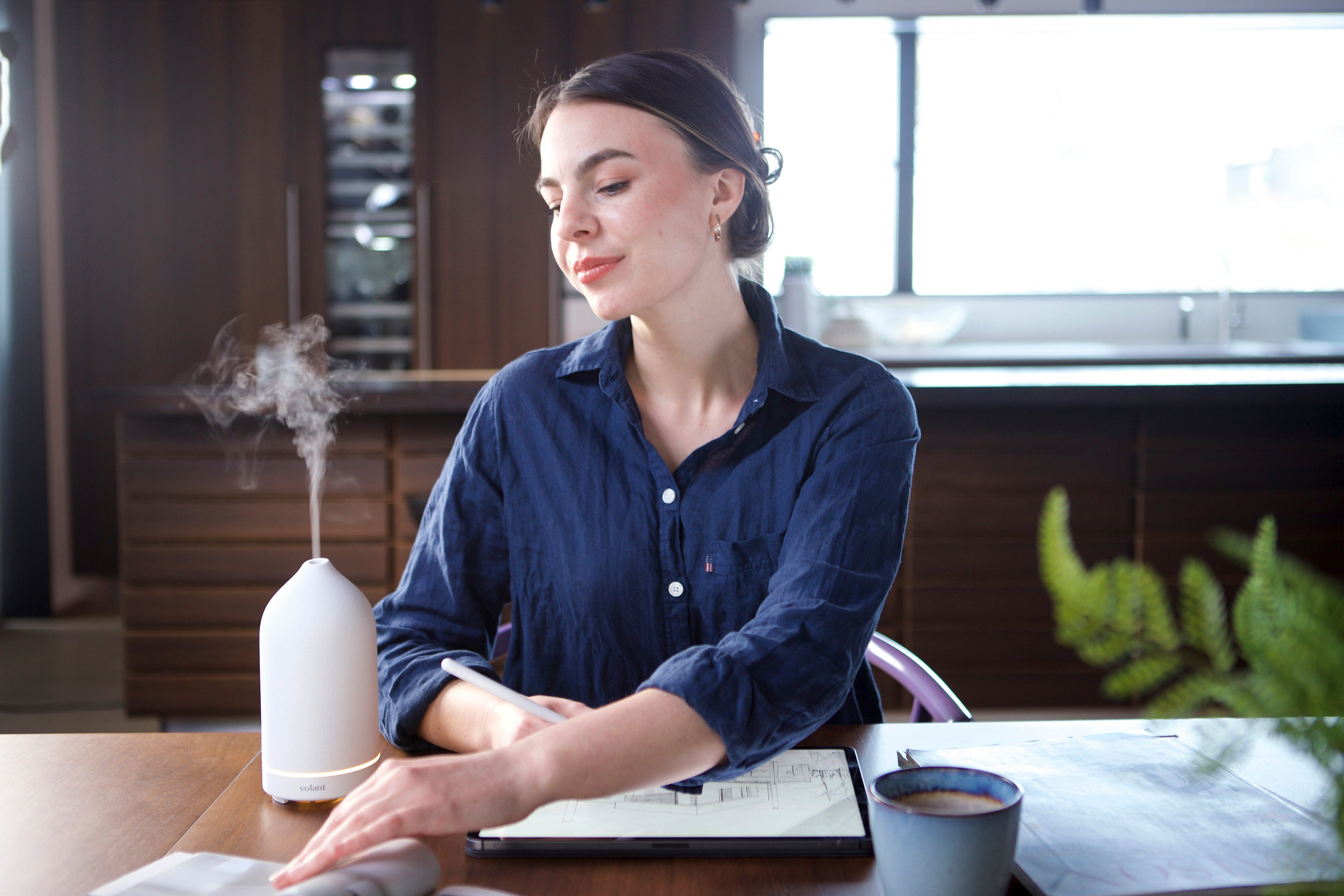 "Transform your living space into a sanctuary of comfort and tranquility. Explore our premium collection of humidifiers designed to elevate your home's air quality, soothe your senses, and bring the perfect balance of moisture to your environment.&nbsp;Breathe better, live better."